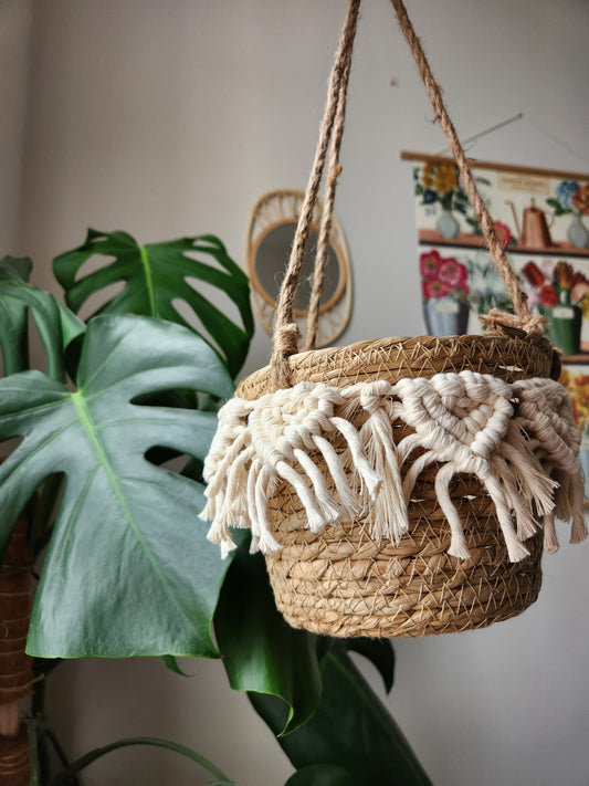 Plant Hanger Basket | Macrame plant hanger basket