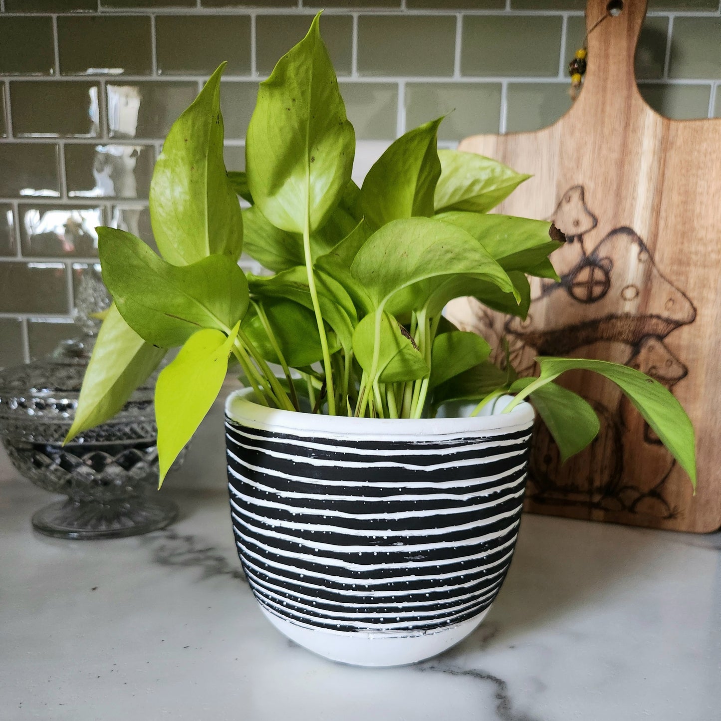 Black and White round pot | Circular design planter | flower pot | abstract planter